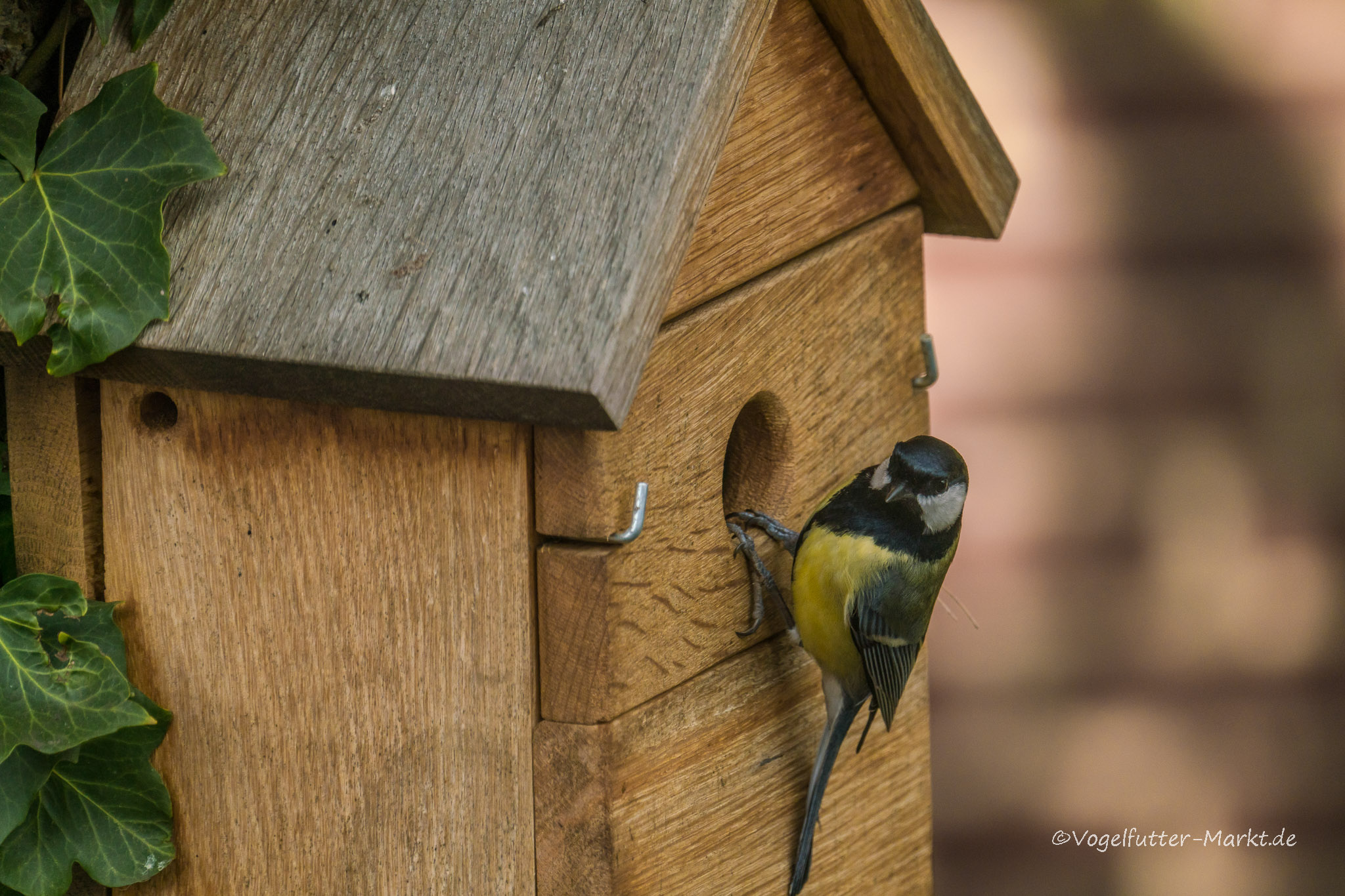 Vogelhaus Multi Nistkasten aus Eiche 