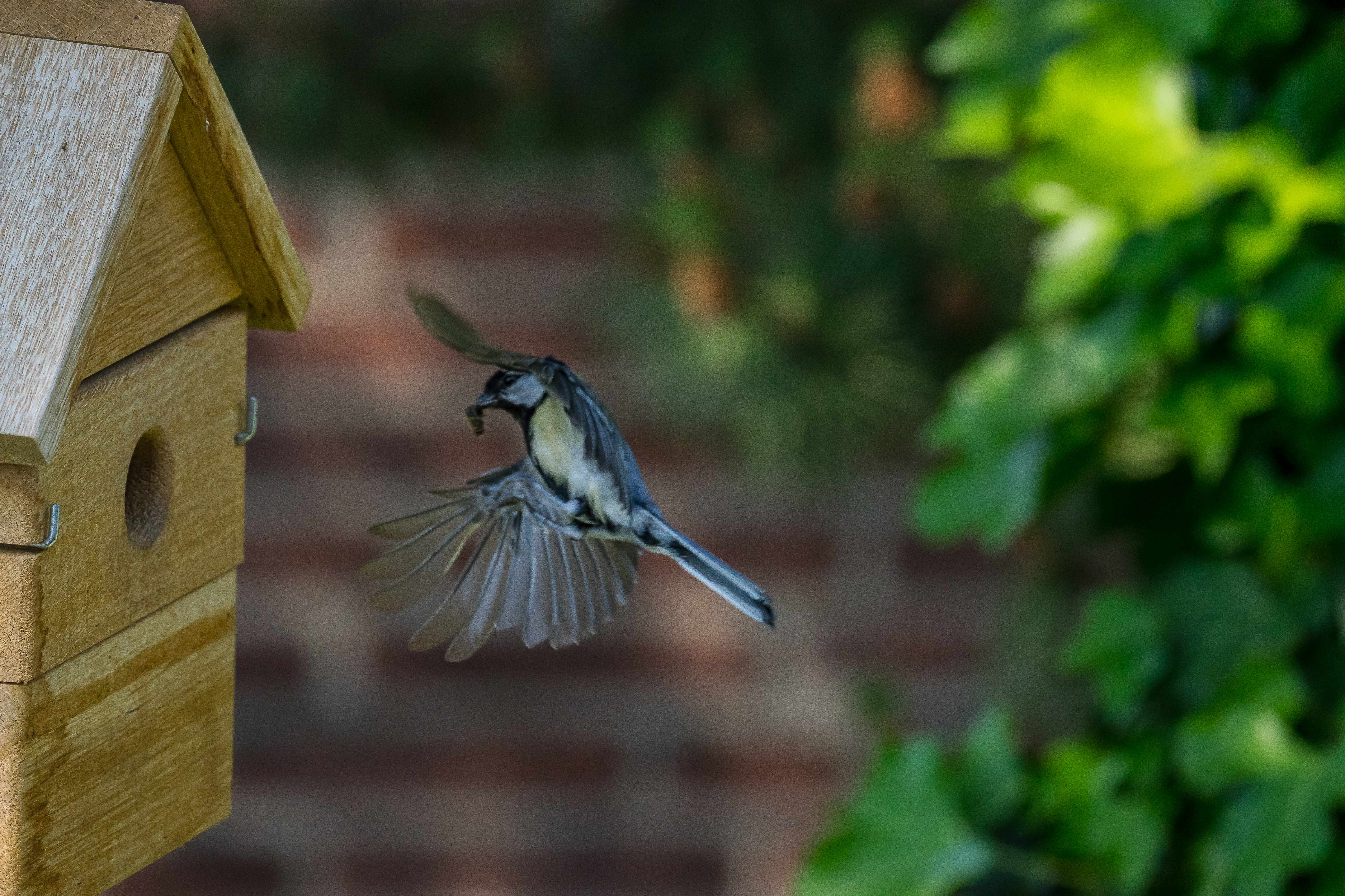 Vogelhaus Multi Nistkasten aus Eiche 