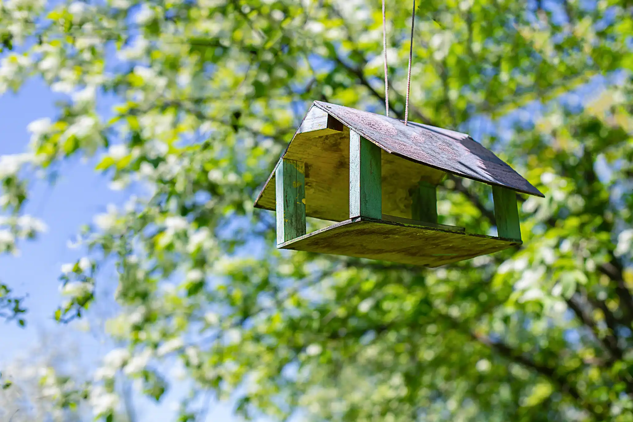 Vogelfutterhaus-hängend-im-Baum