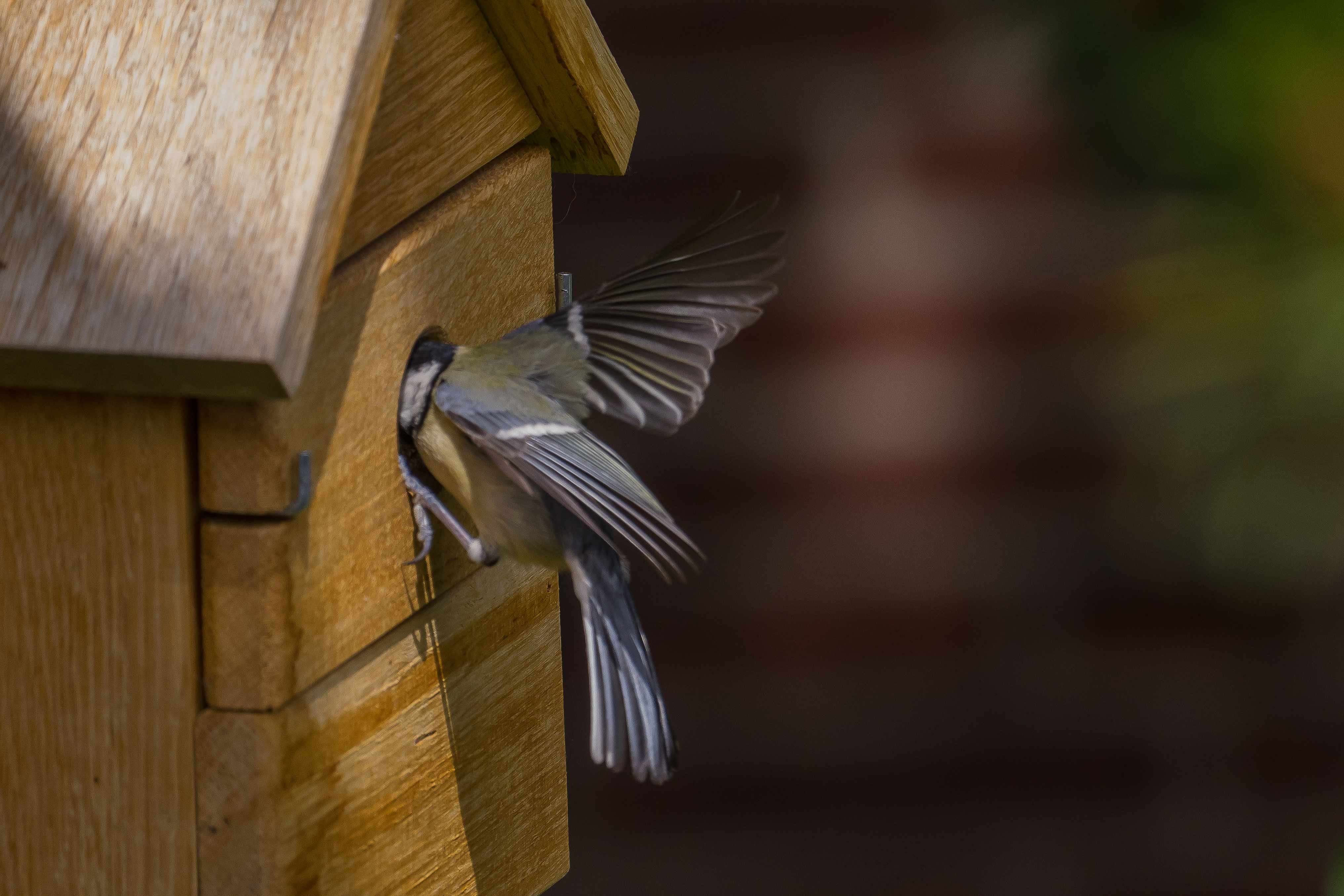 Vogelhaus Multi Nistkasten aus Eiche 