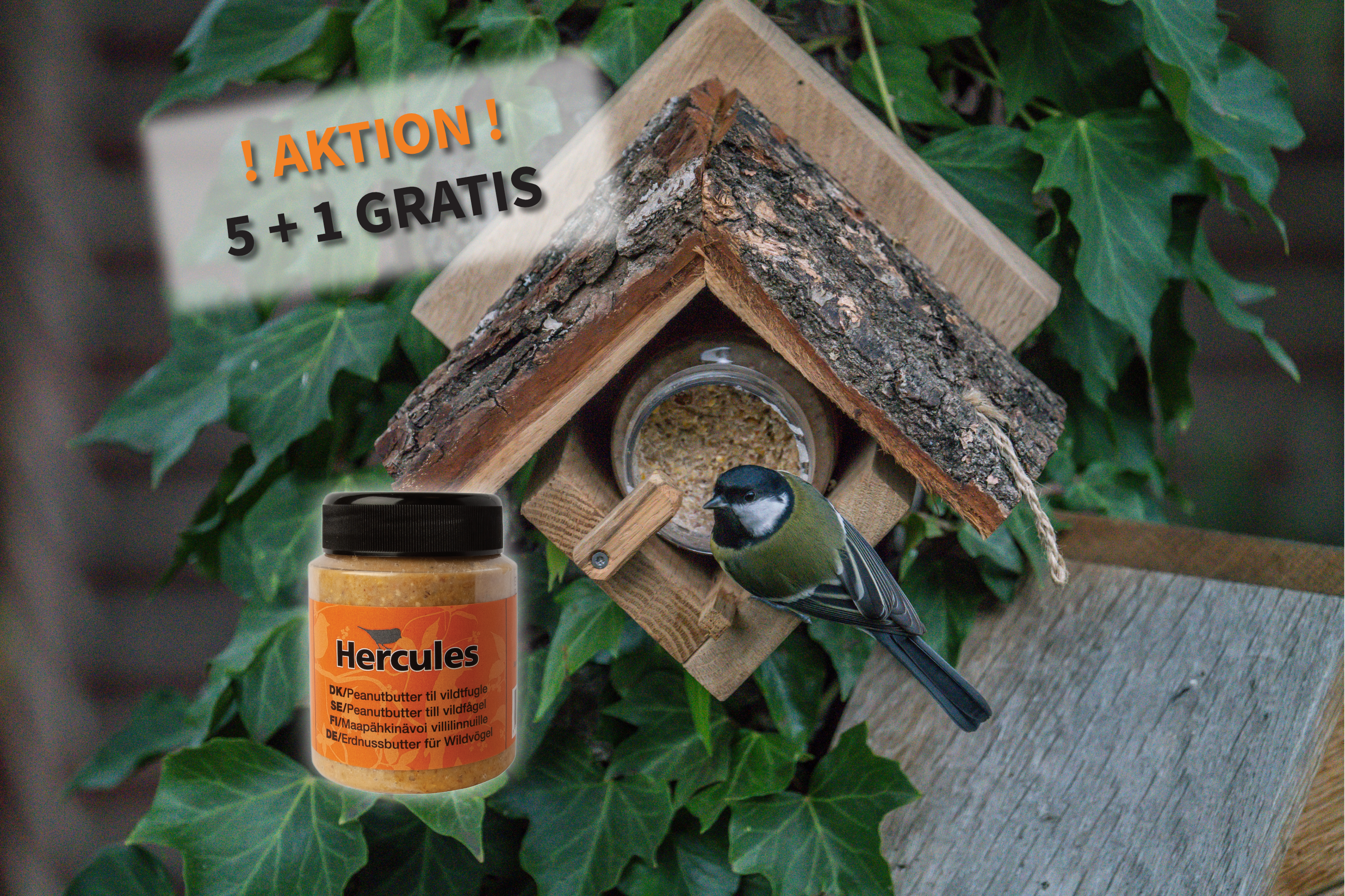 Aktionsset 5 + 1 GRATIS - Erdnussbutter für Vögel