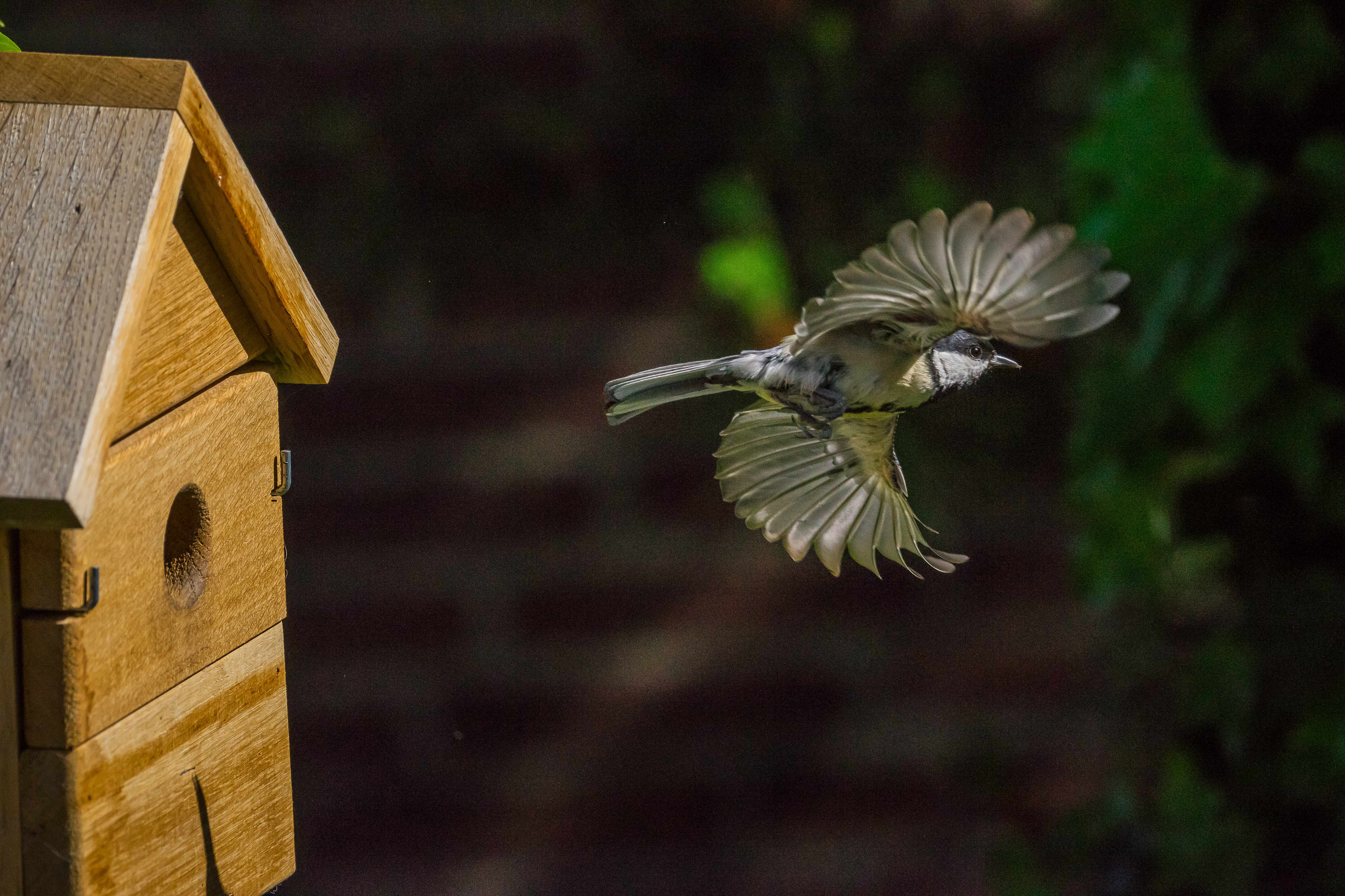 Vogelhaus Multi Nistkasten aus Eiche 