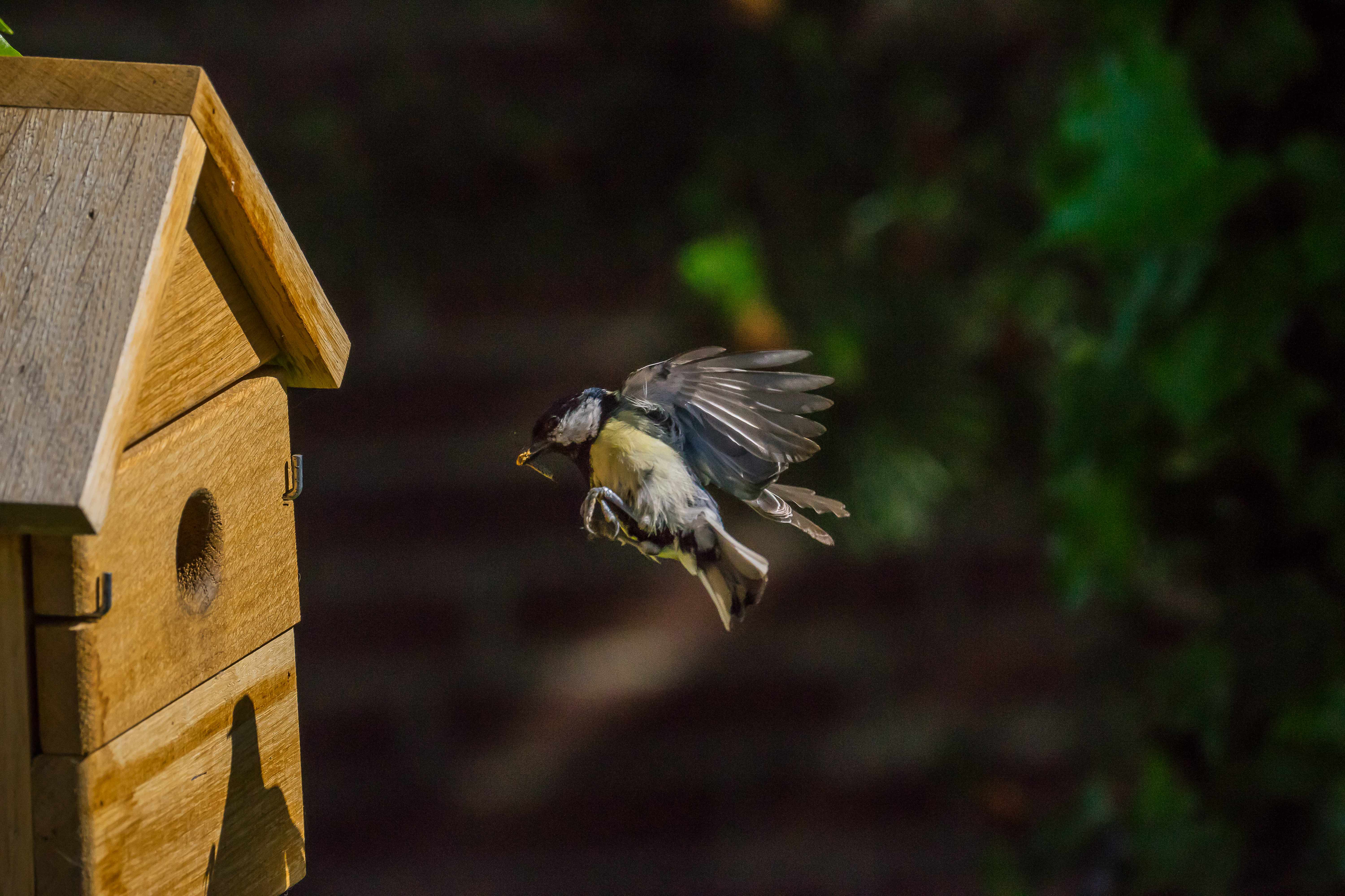 Vogelhaus Multi Nistkasten aus Eiche 