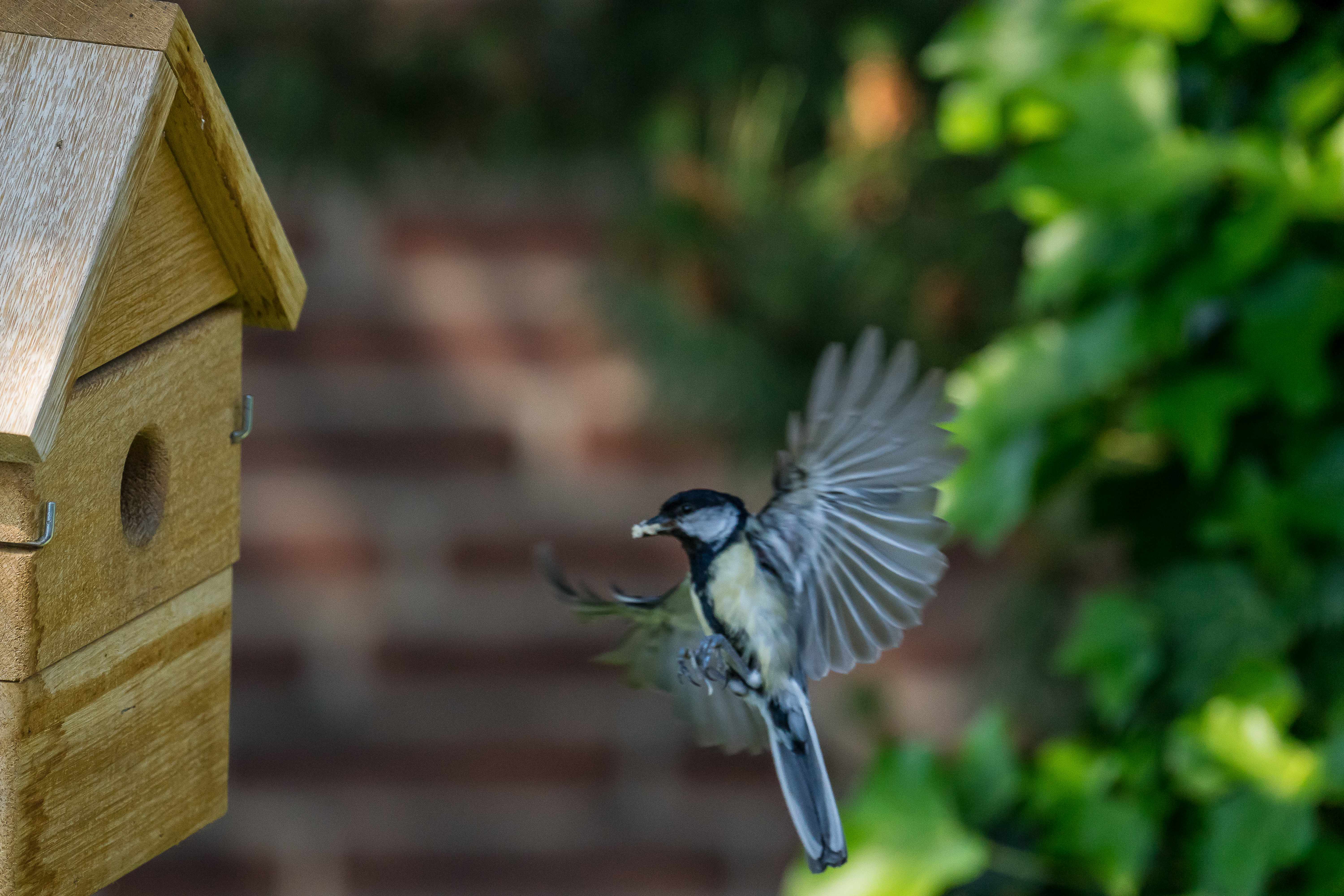 Vogelhaus Multi Nistkasten aus Eiche 